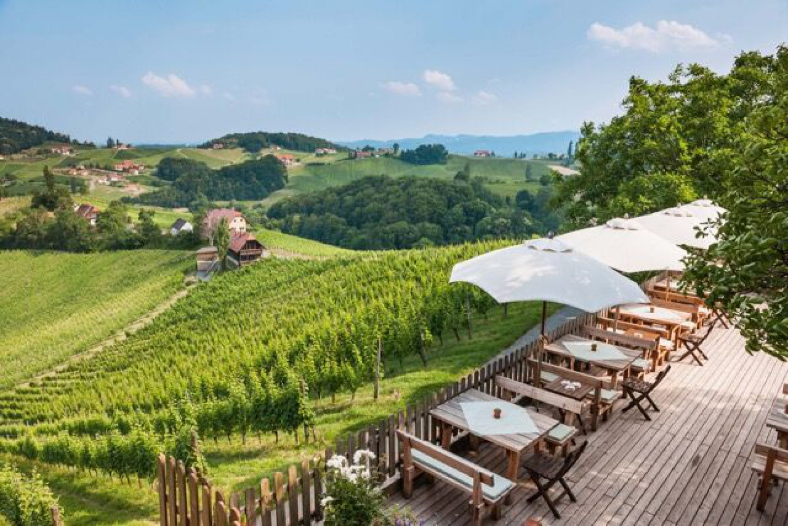 Restaurant Weingut Wolfgang Maitz in Ehrenhausen an der Weinstraße