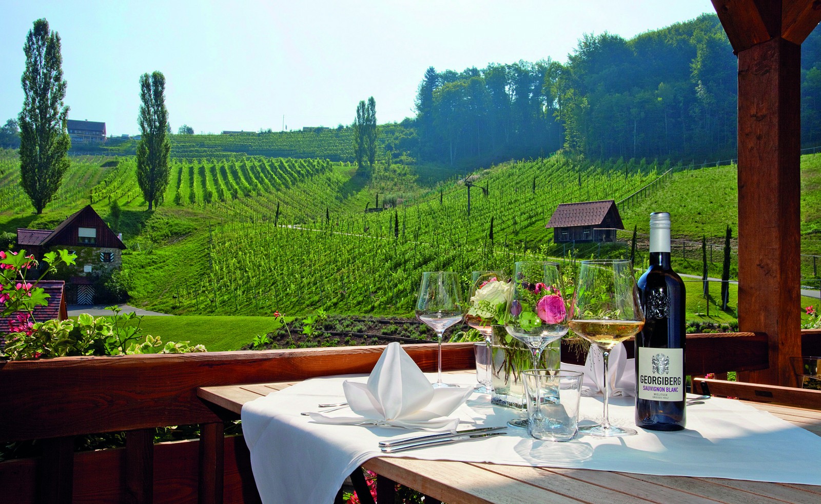 Weingut Georgiberg in Berghausen, Foto 6