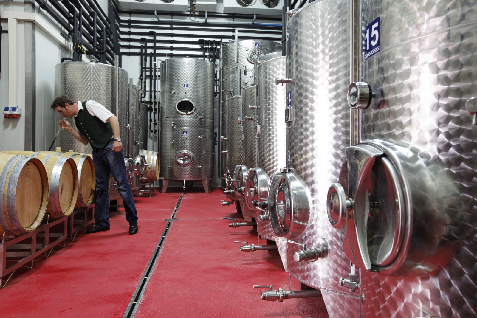 Buschenschank und Weingut Bernhart in Riegersburg, Foto 3