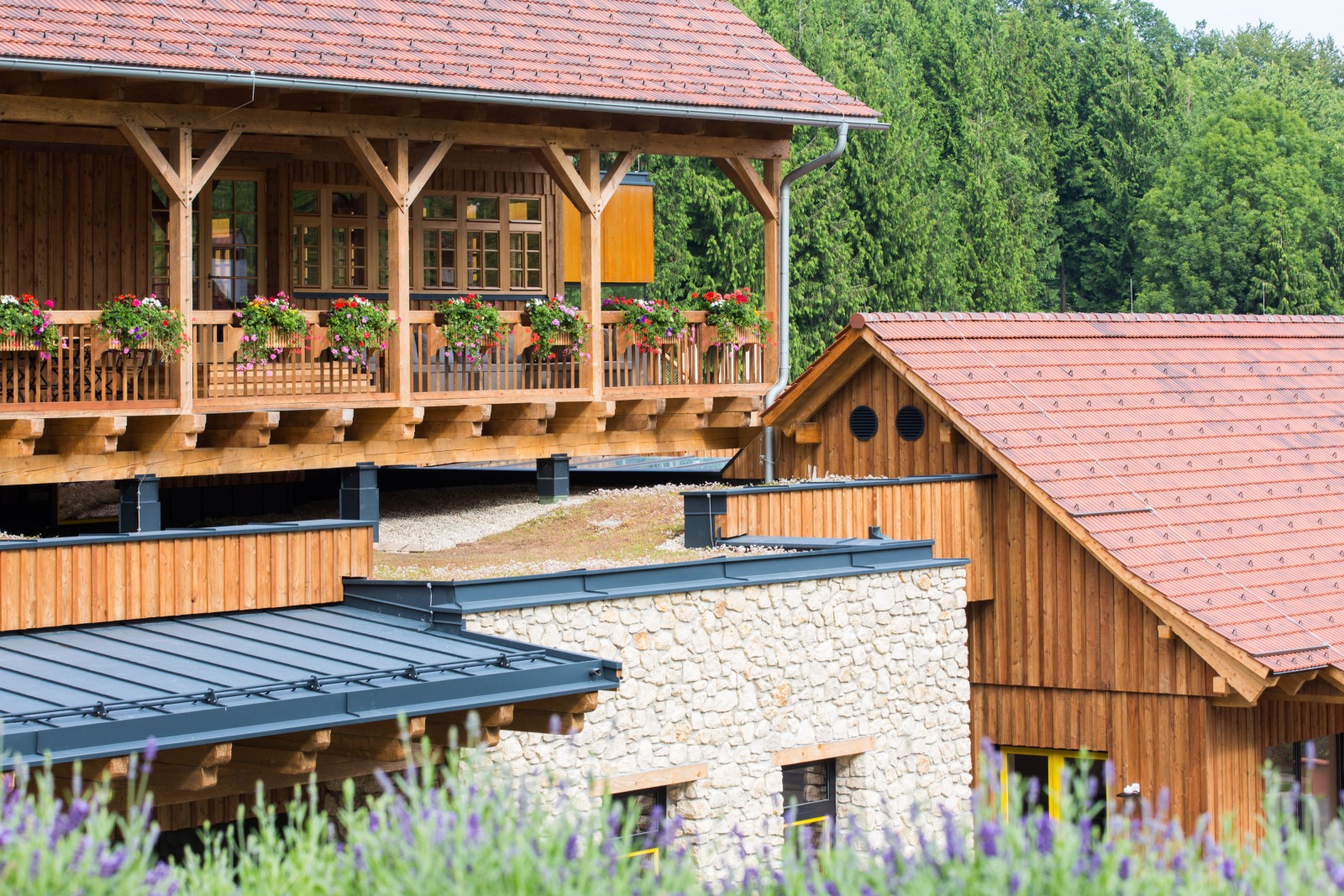 Weingut Georgiberg in Berghausen, Foto 4