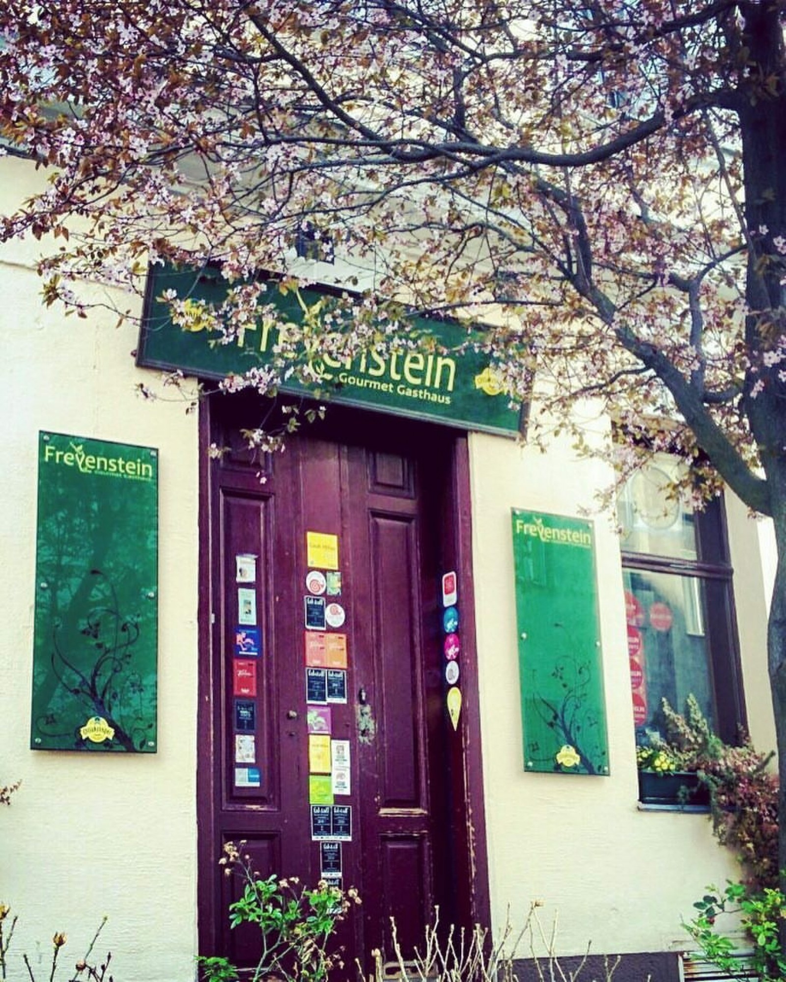 Gourmet Gasthaus Freyenstein in Wien