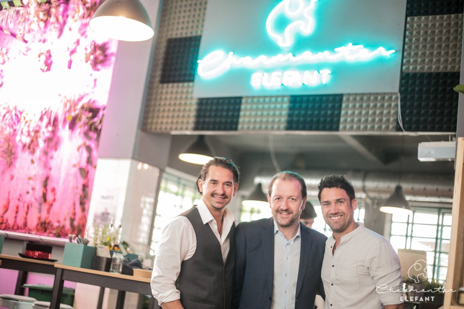 Charmanter Elefant in Linz, Foto 4