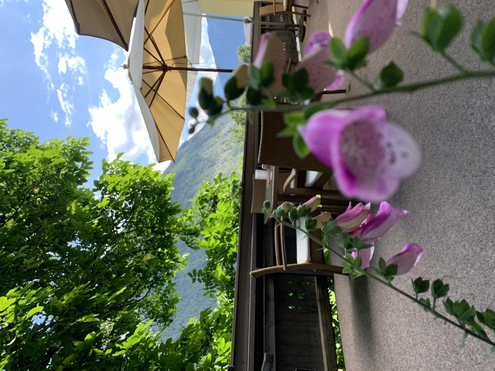 Hotel Restaurant Zum Lamm in Tarrenz, Foto 8
