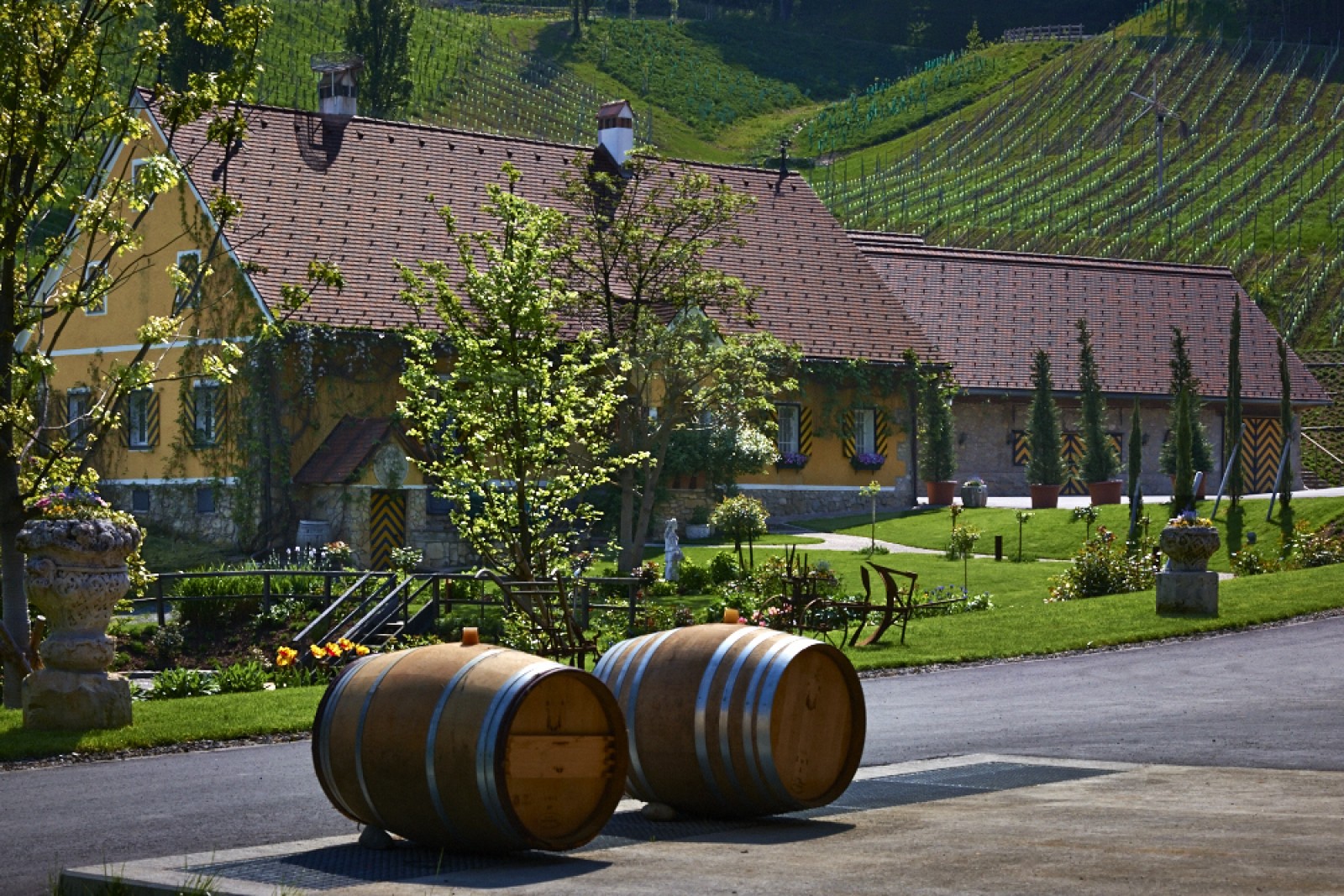 Weingut Georgiberg in Berghausen, Foto 3
