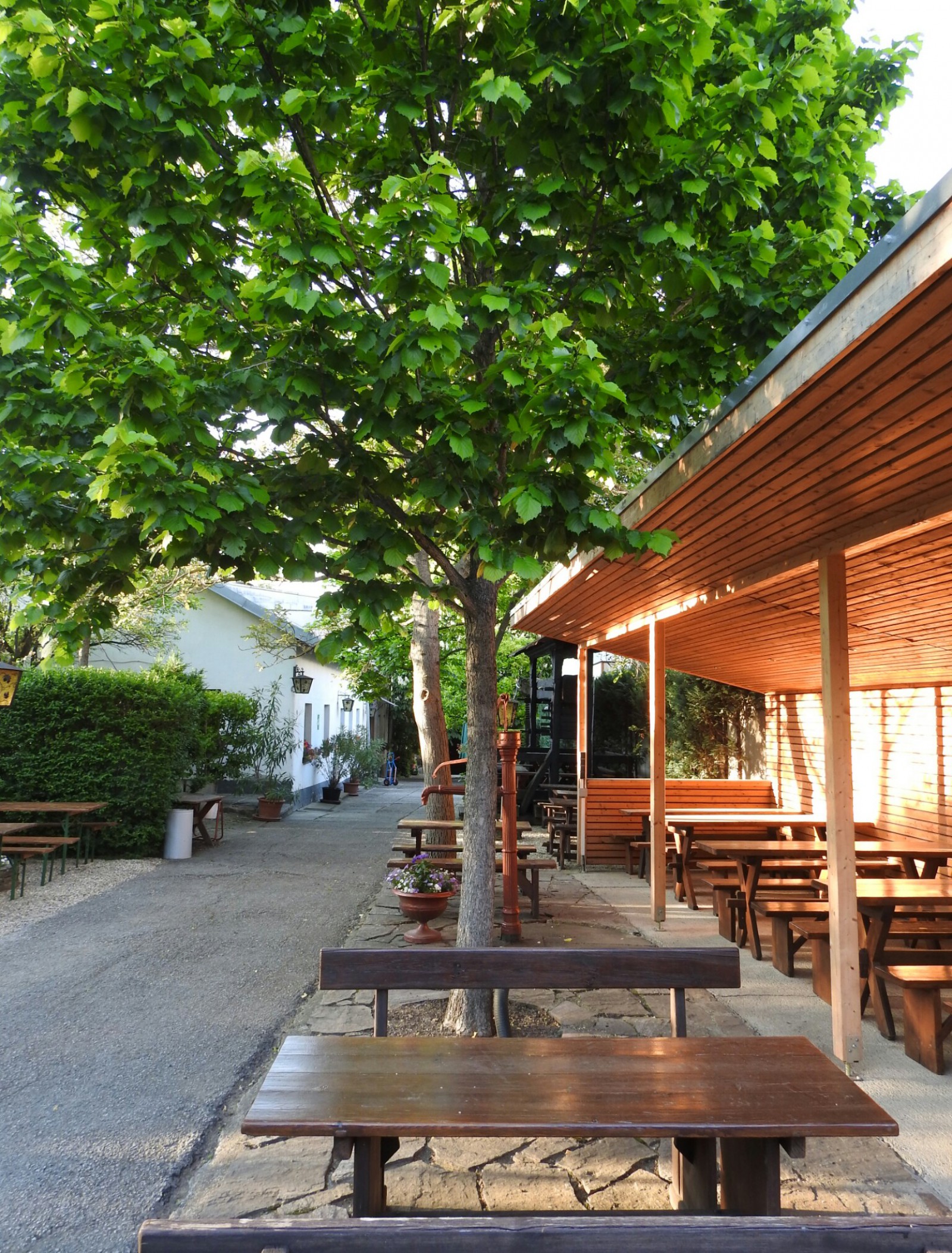 Buschenschank Grausenburger in Wien, Foto 4