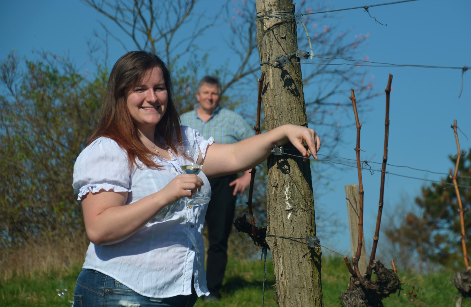 Weingut Schachl Christine und Harald in Bad Vöslau, Foto 2