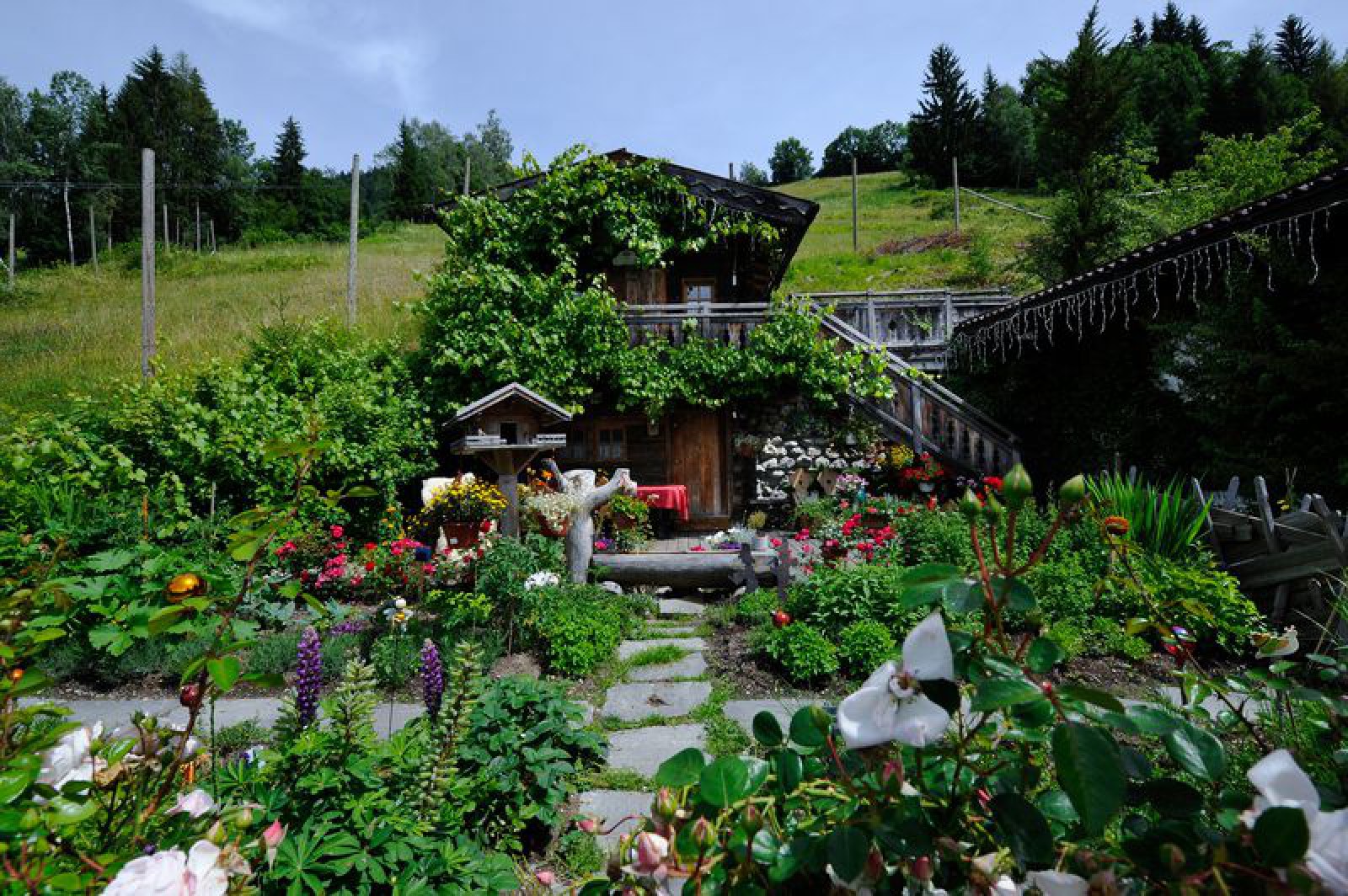 OBERFORSTHOFALM in Sankt Johann, Foto 2