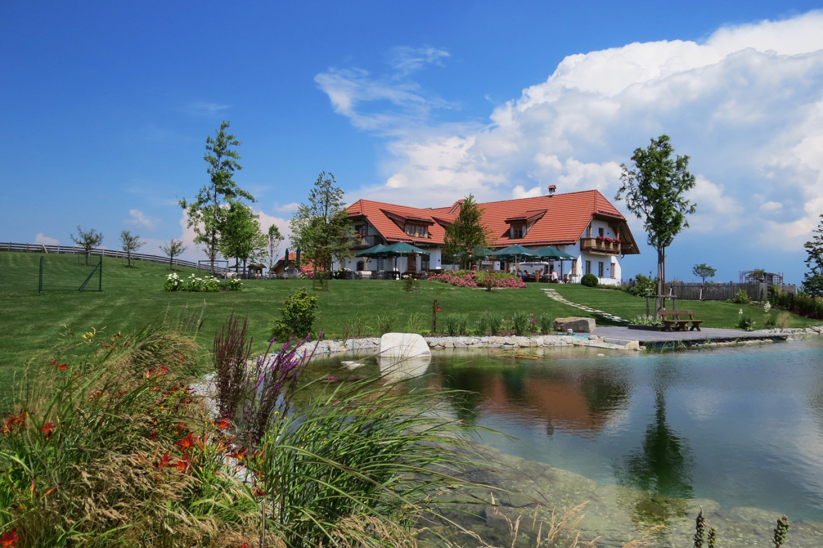 Restaurant Hoamat GmbH & CoKG in Haibach ob der Donau