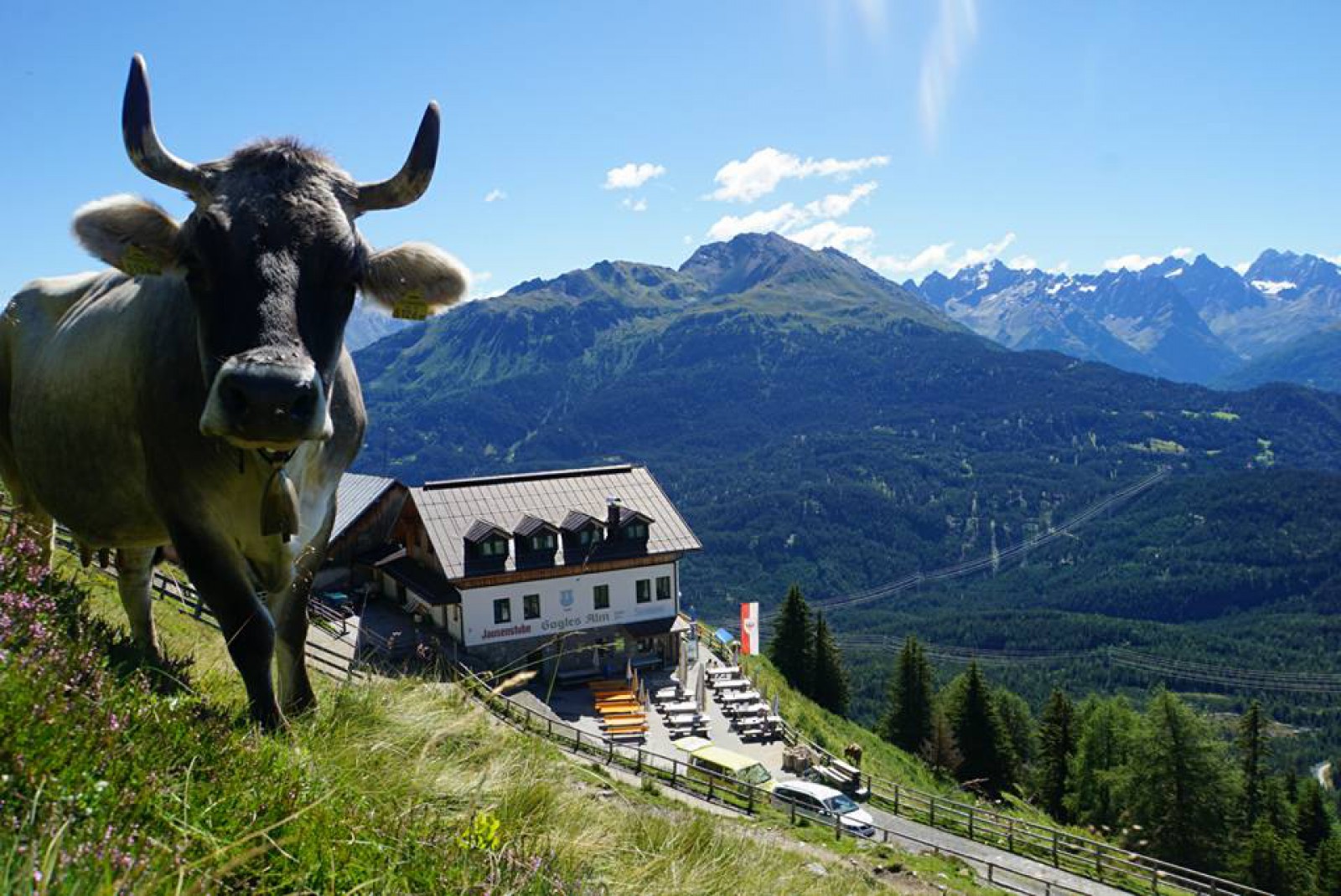 Gogles Alm in Landeck, Foto 1