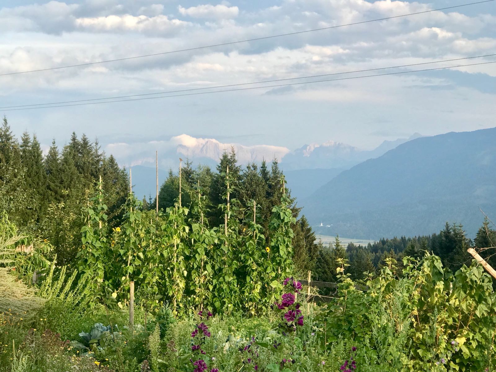 Wirtshaus Zum Gustl in St. Stefan im Gailtal, Foto 9