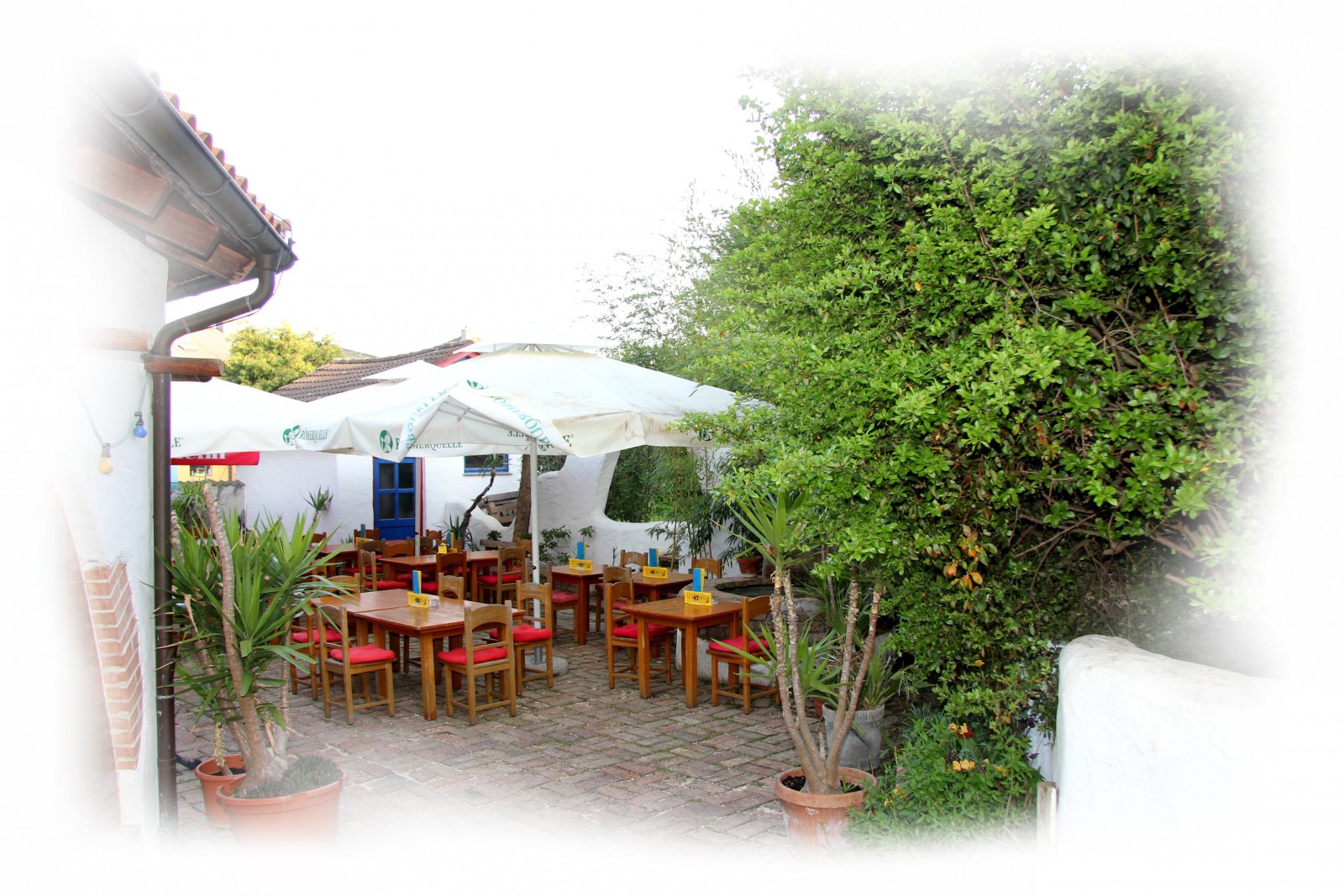 La Hacienda im Weinviertel in Wilfersdorf, Foto 16