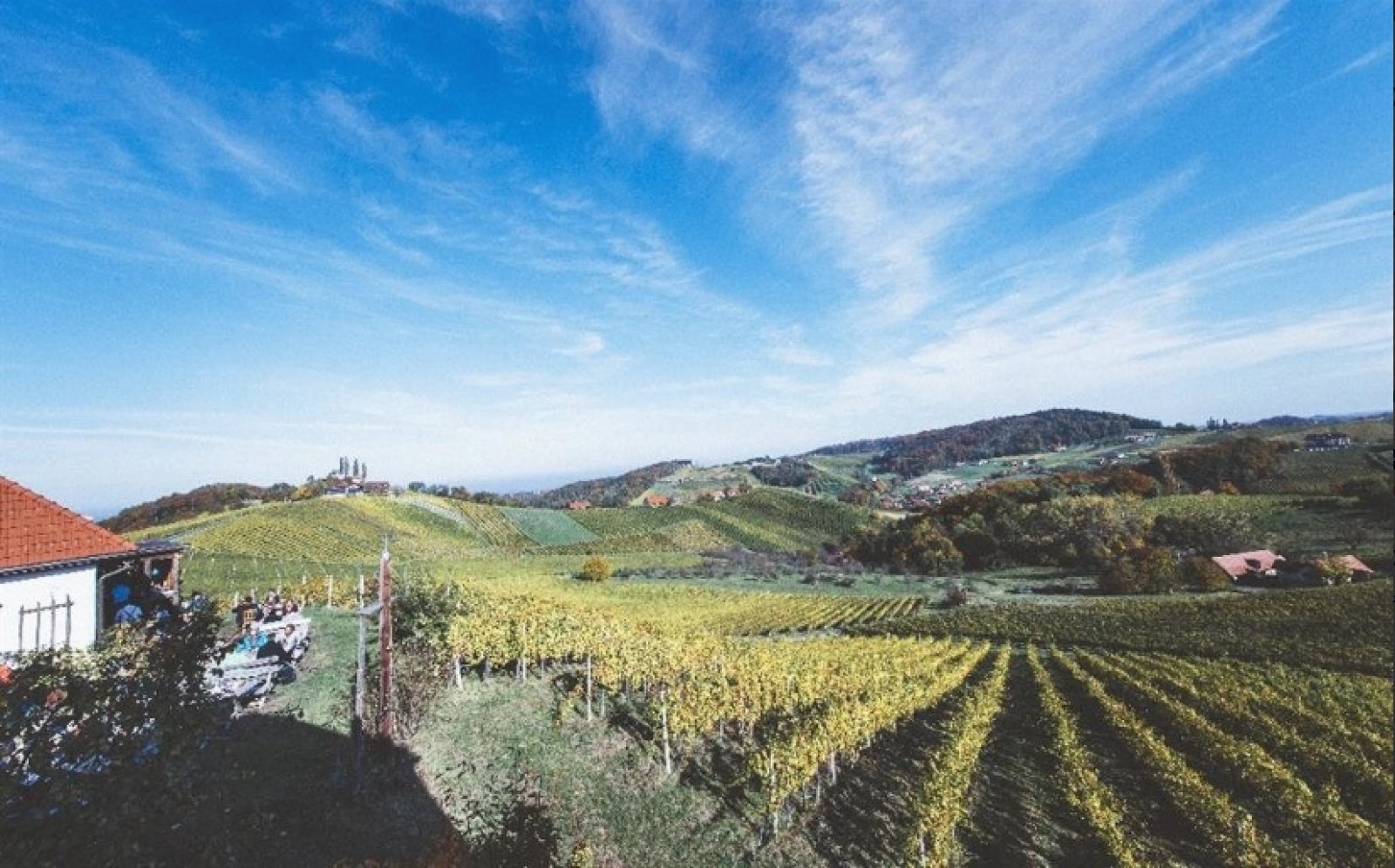 Buschenschank Koegl in Ratsch an der Weinstraße, Foto 3