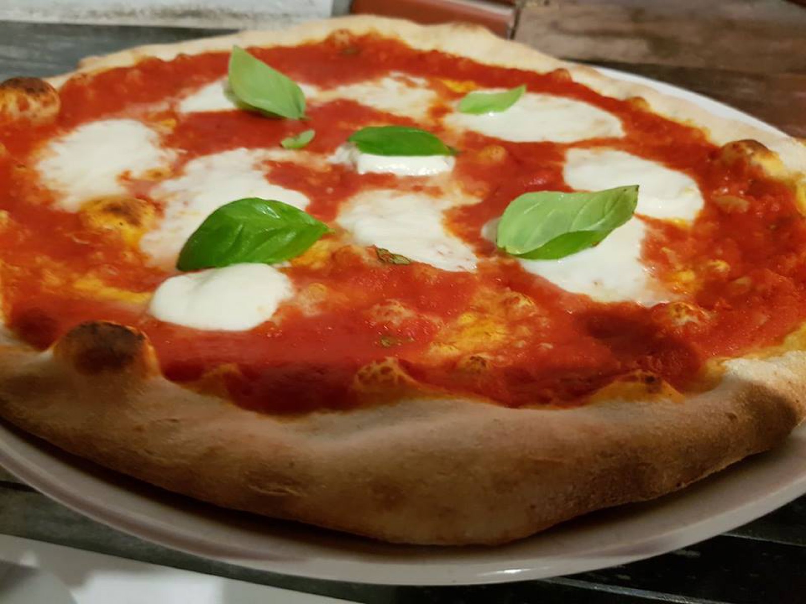 Restaurant-Pizzeria Fischertratten in Gmünd, Foto 3