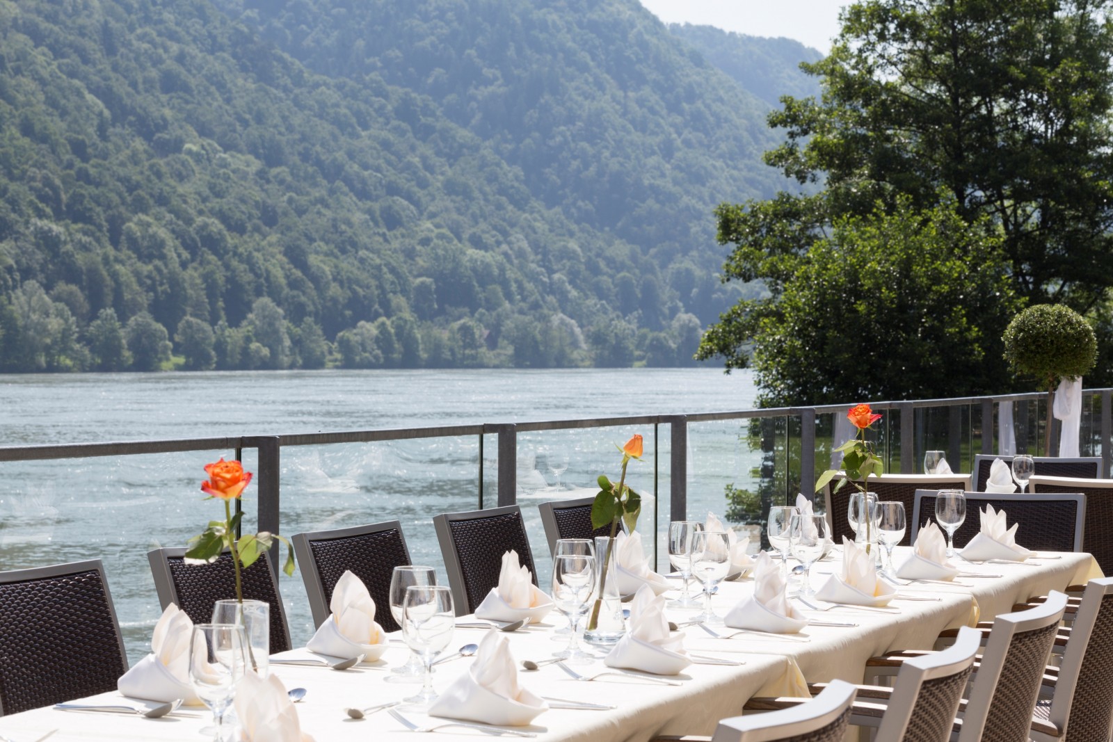 Wesenufer Hotel & Seminarkultur an der Donau in Wesenufer, Foto 4