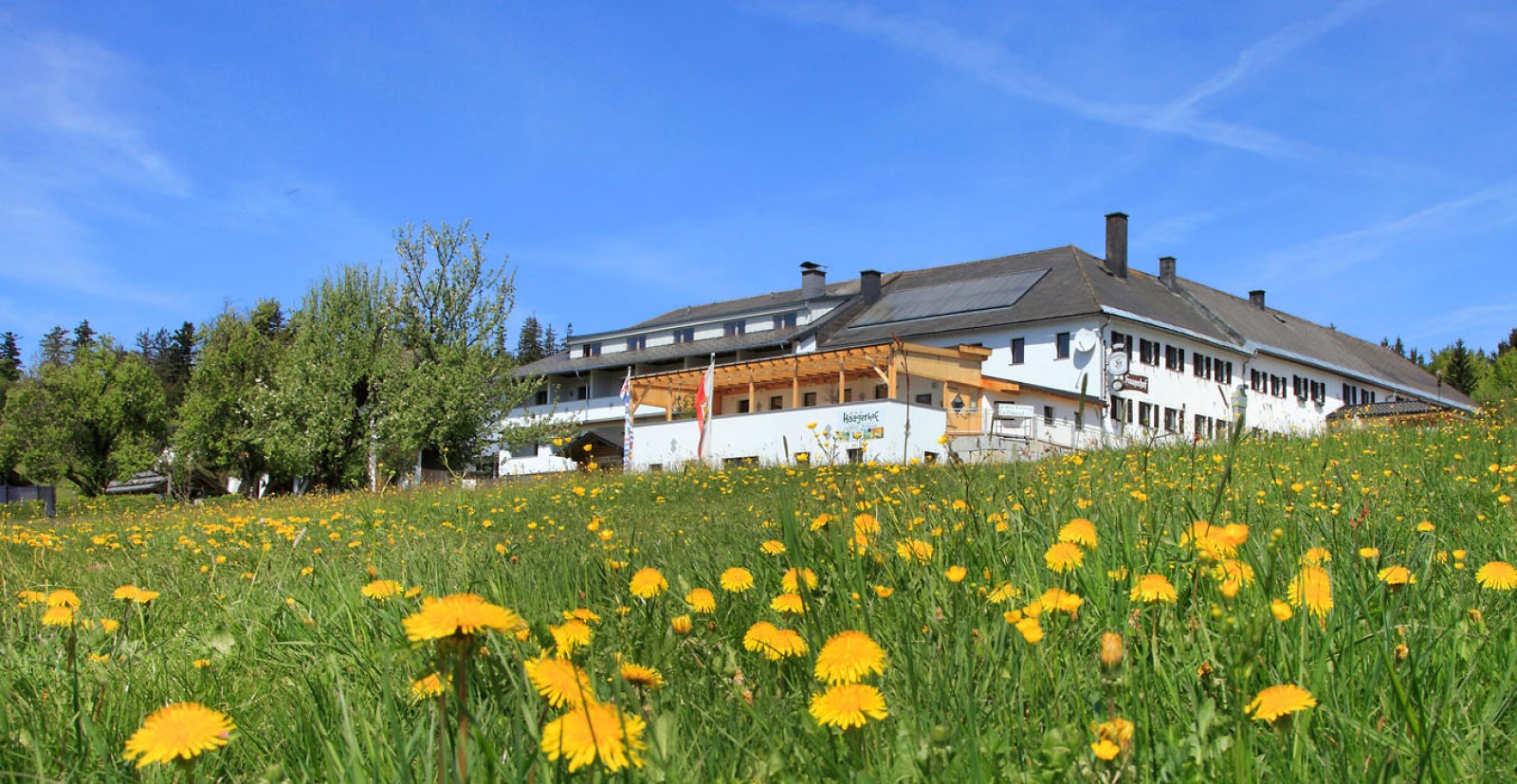 Landhotel Haagerhof in Aigen-Schlägl, Foto 4