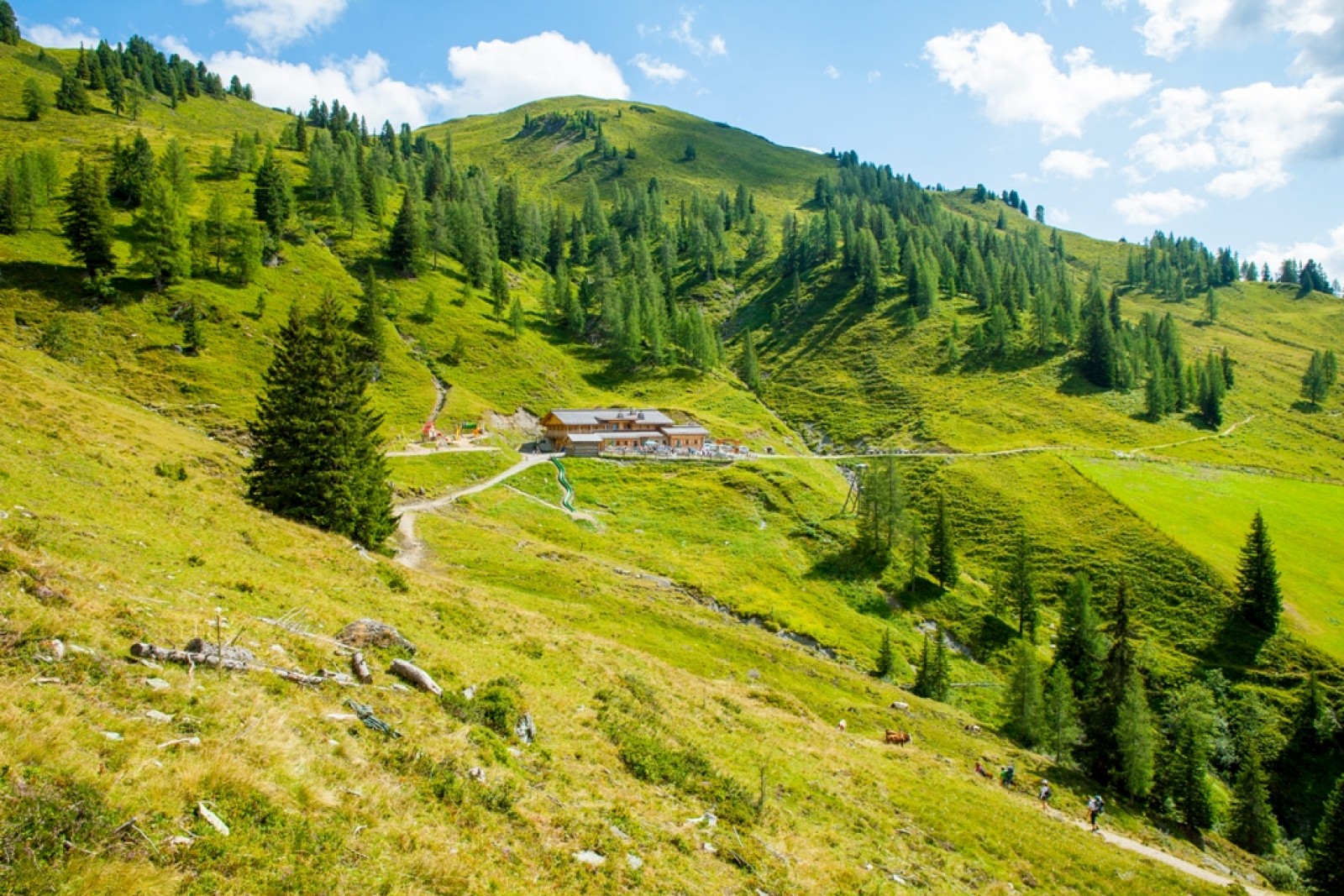Loosbühelalm in Großarl, Foto 13