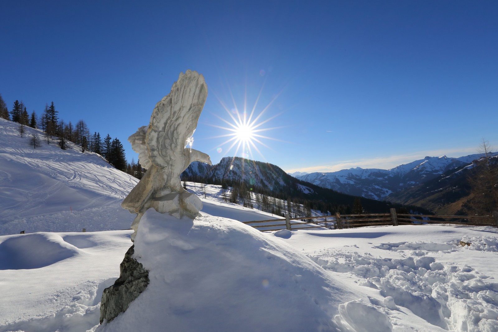 Loosbühelalm in Großarl, Foto 9