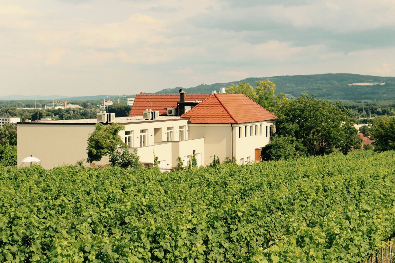 Restaurant Weingut Hutter GmbH in Krems