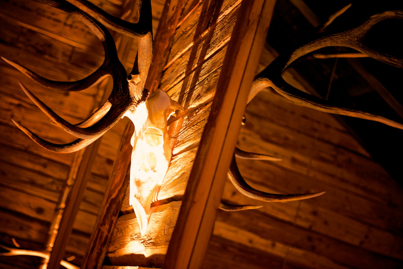 Almbar in Maria Alm Hinterthal, Foto 49