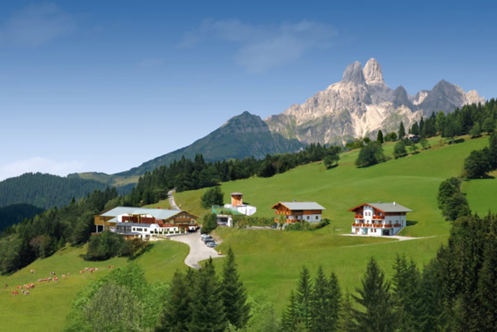 Panoramarestaurant Reithof in Filzmoos, Foto 3
