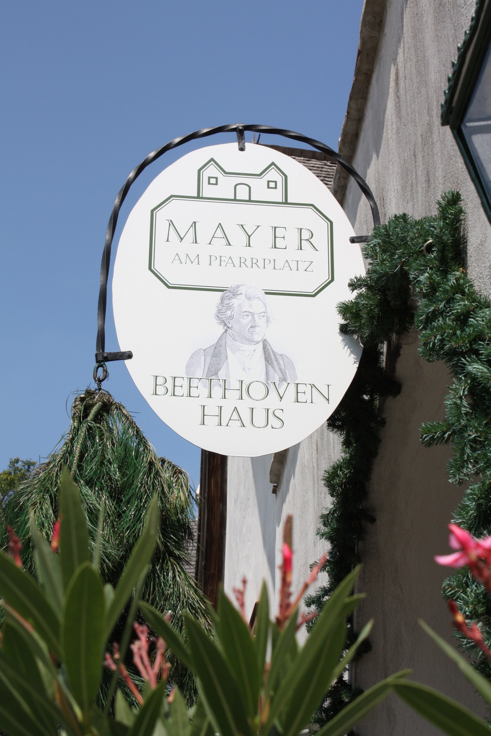 Mayer am Pfarrplatz in Wien, Foto 23