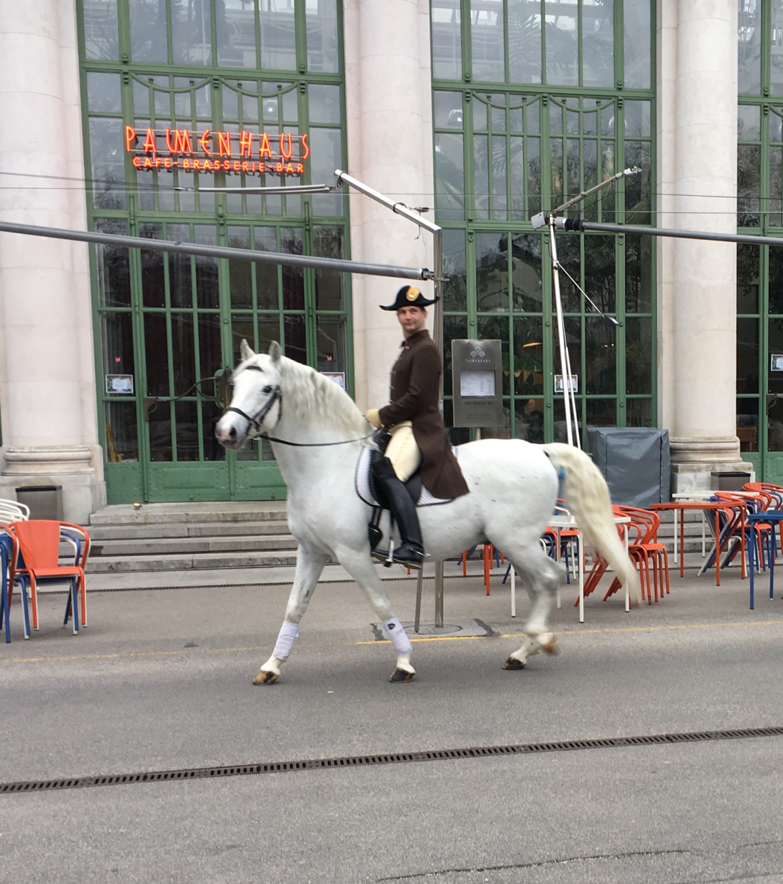 BRASSERIE PALMENHAUS in Wien, Foto 3