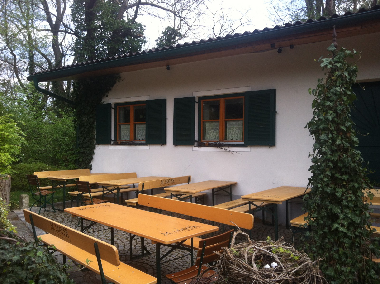 Weingut und Heuriger M. Mayer in Köngsbrunn am Wagram, Foto 3