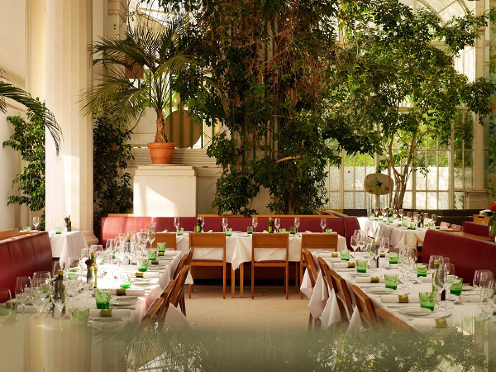BRASSERIE PALMENHAUS in Wien, Foto 2