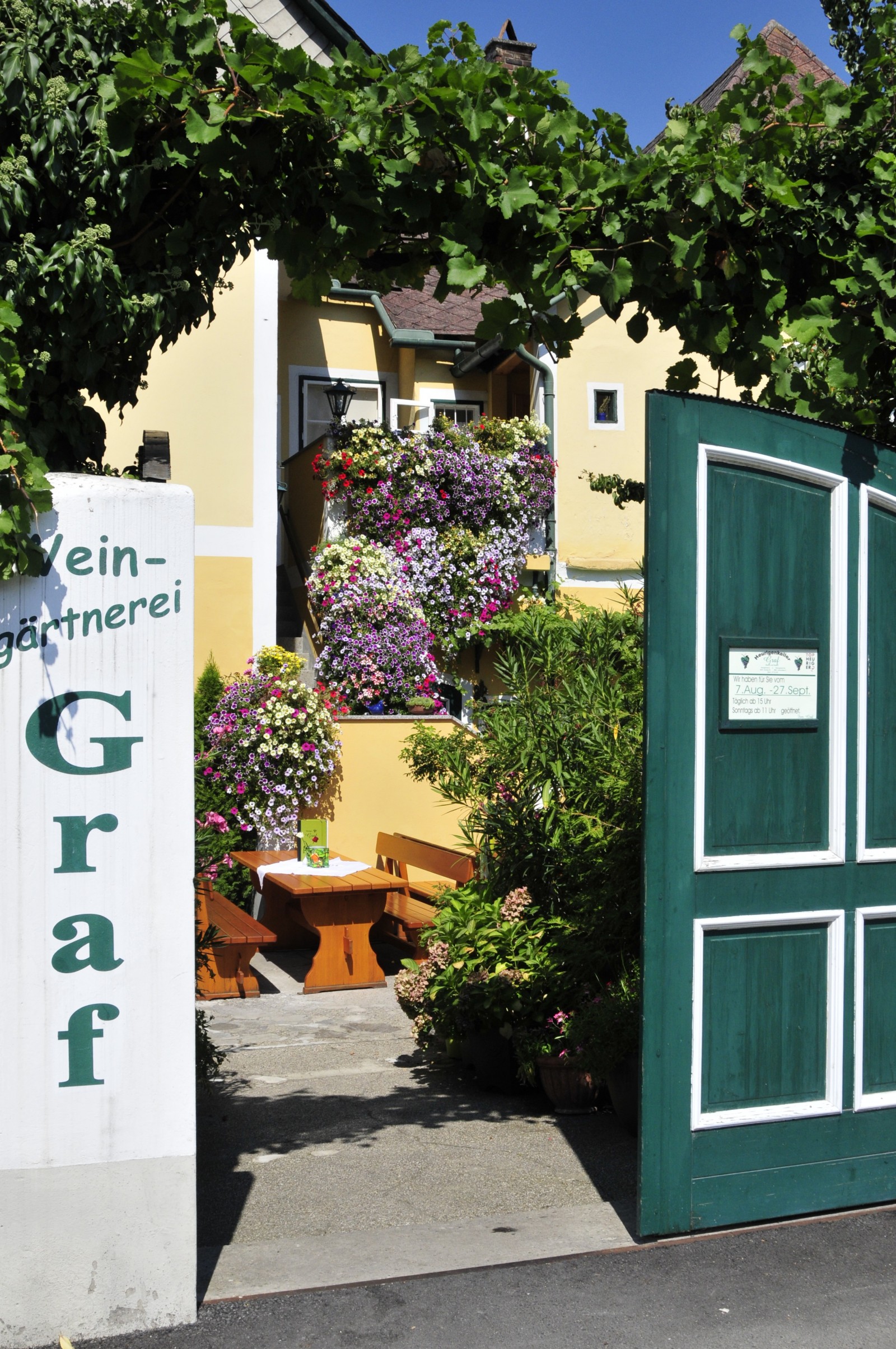 Heurigen Graf Unterloiben  in Durnstein, Foto 3