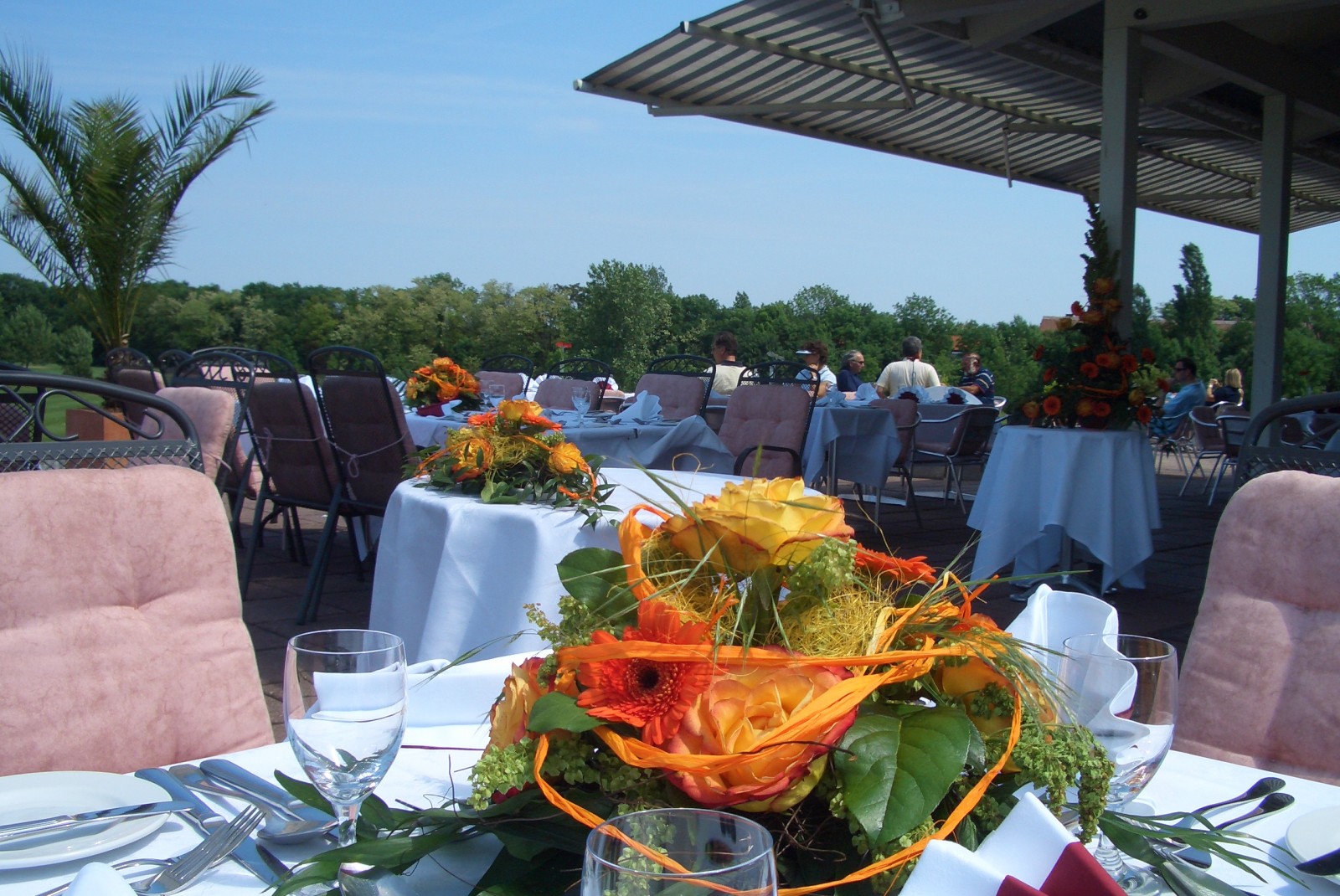 Restaurant Albatros in Ebreichsdorf, Foto 3