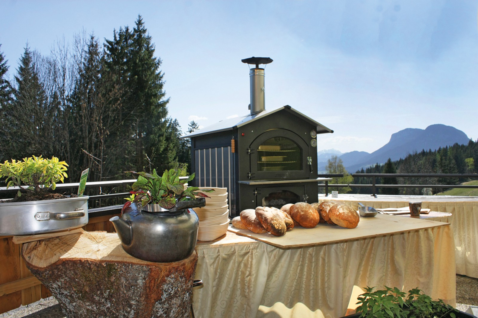 Gasthof Pension Jagerwirt in Scheffau, Foto 10