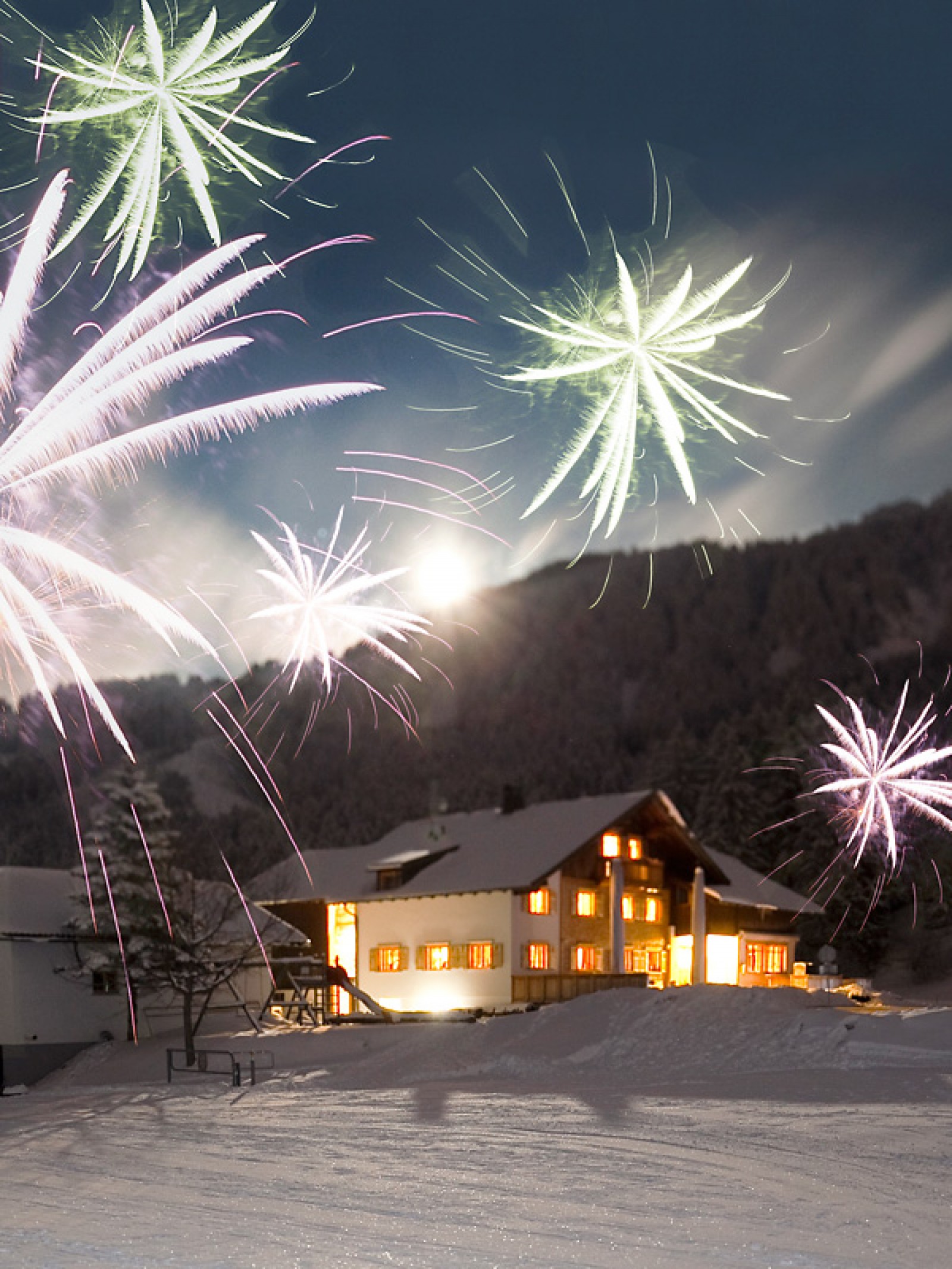 Millrutte Resort GmbH in Gotzis, Foto 1