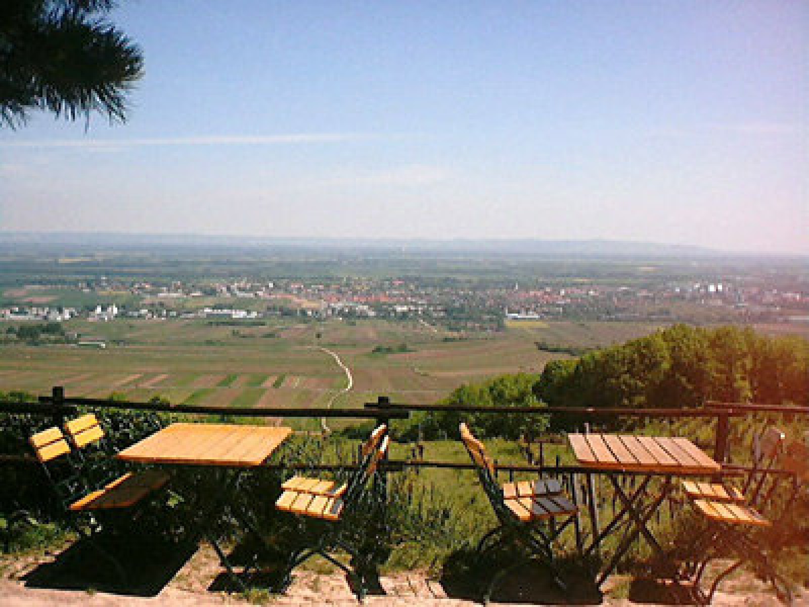 GUMPOLDSKIRCHNER VEIGL-HÜTTE in Gumpoldskirchen, Foto 4