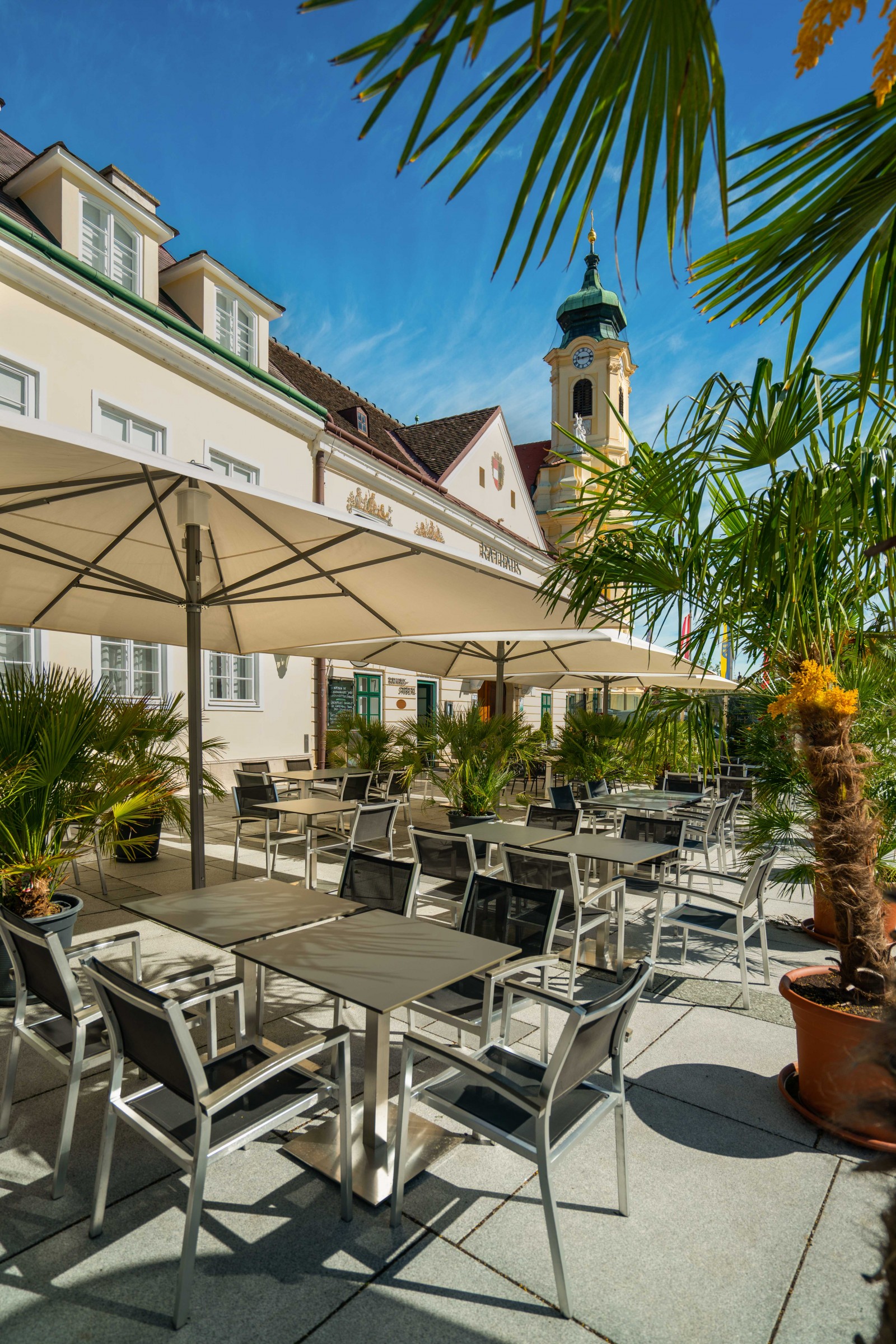 Cafe Restaurant im Rathaus in Laxenburg, Foto 3