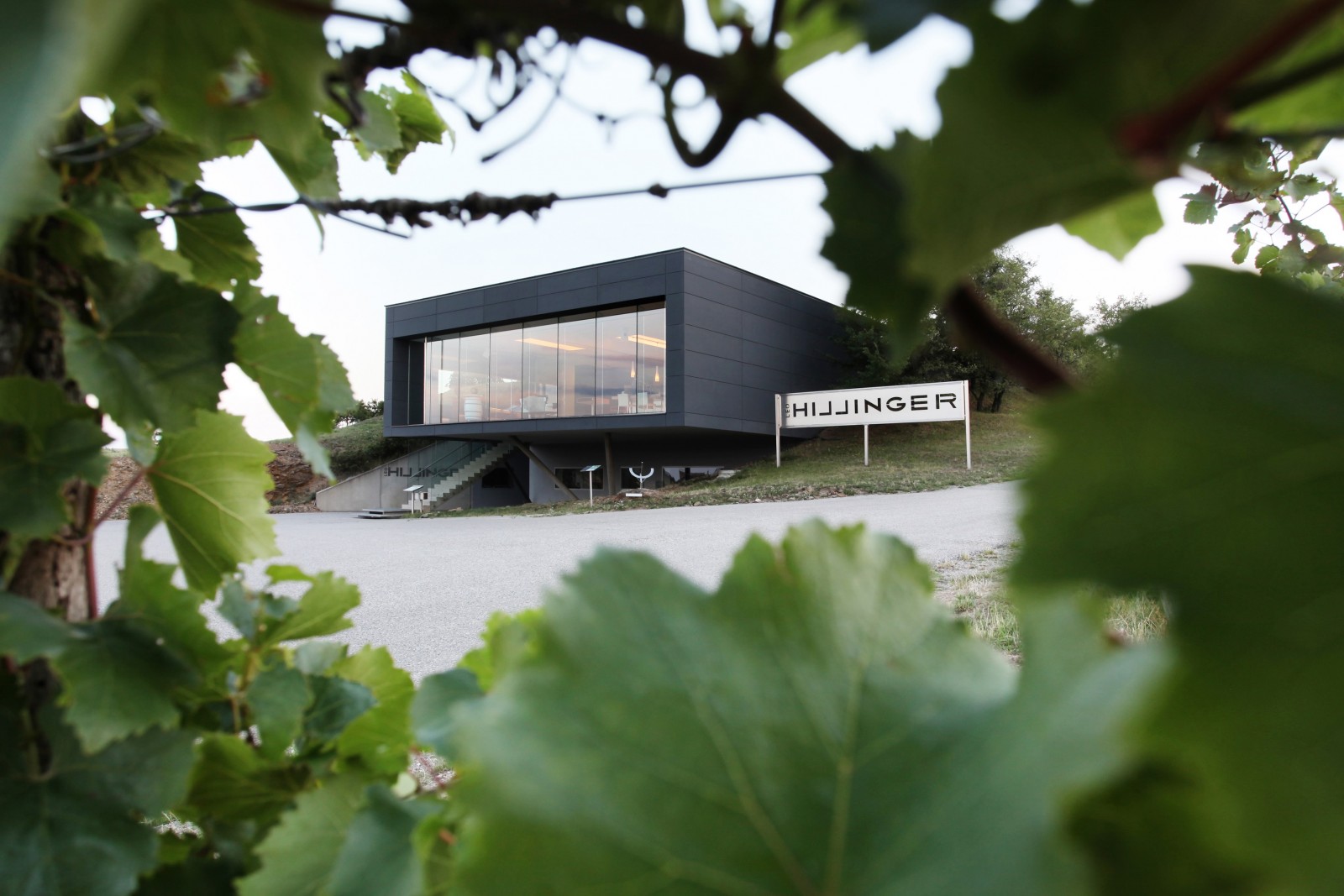 Leo Hillinger GmbH in Jois, Foto 4
