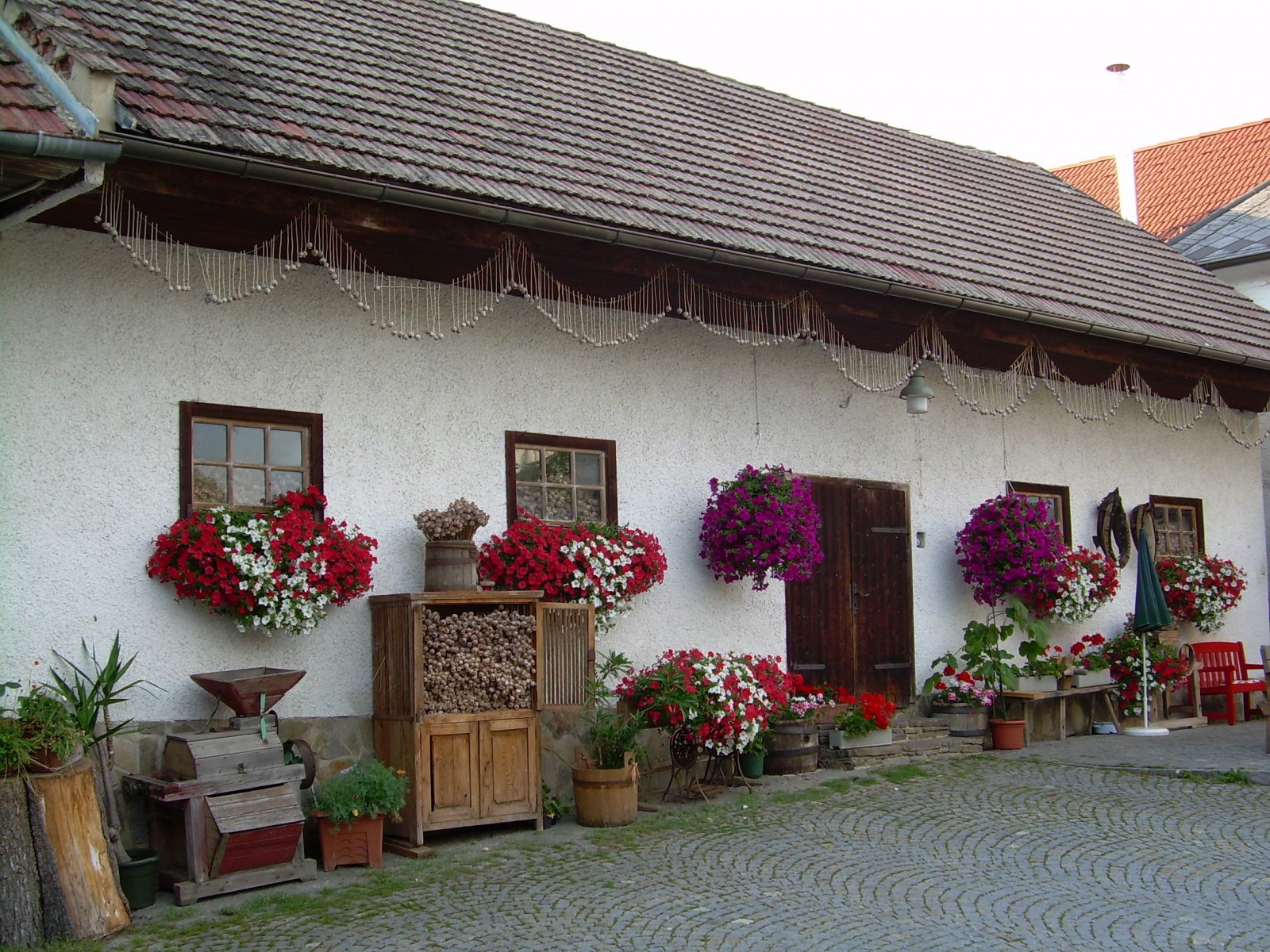 Mohnwirt Neuwiesinger in Sallingberg, Foto 7