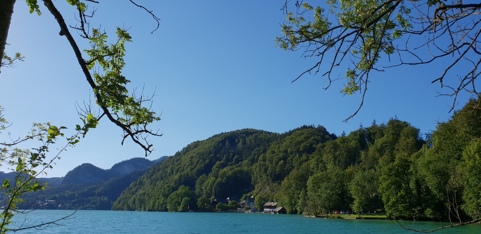 Gasthof & Hotel Fürberg in St. Gilgen, Foto 1