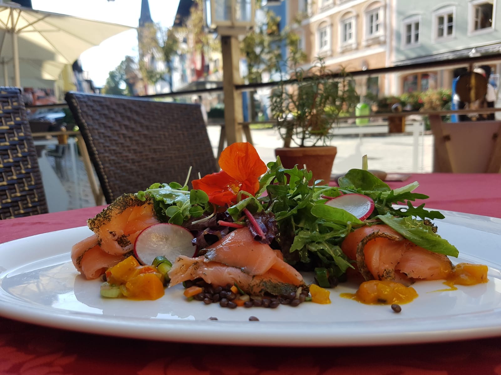 Goldene Gams in Kitzbühel, Foto 1