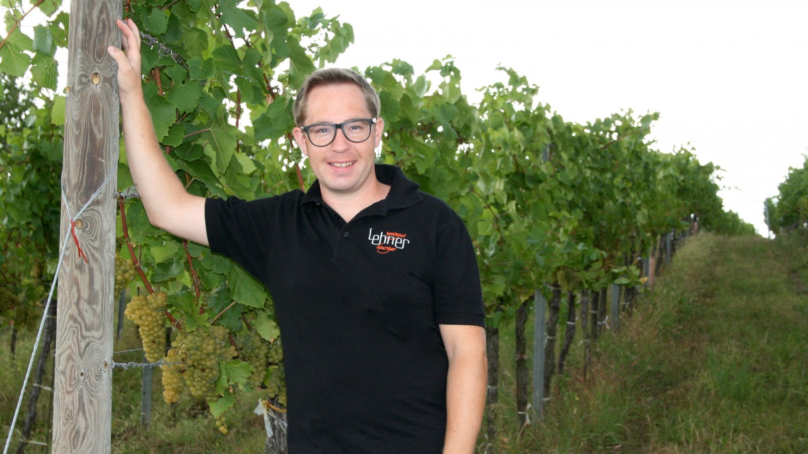 Weingut-Heuriger Lehner in Langenlois, Foto 7