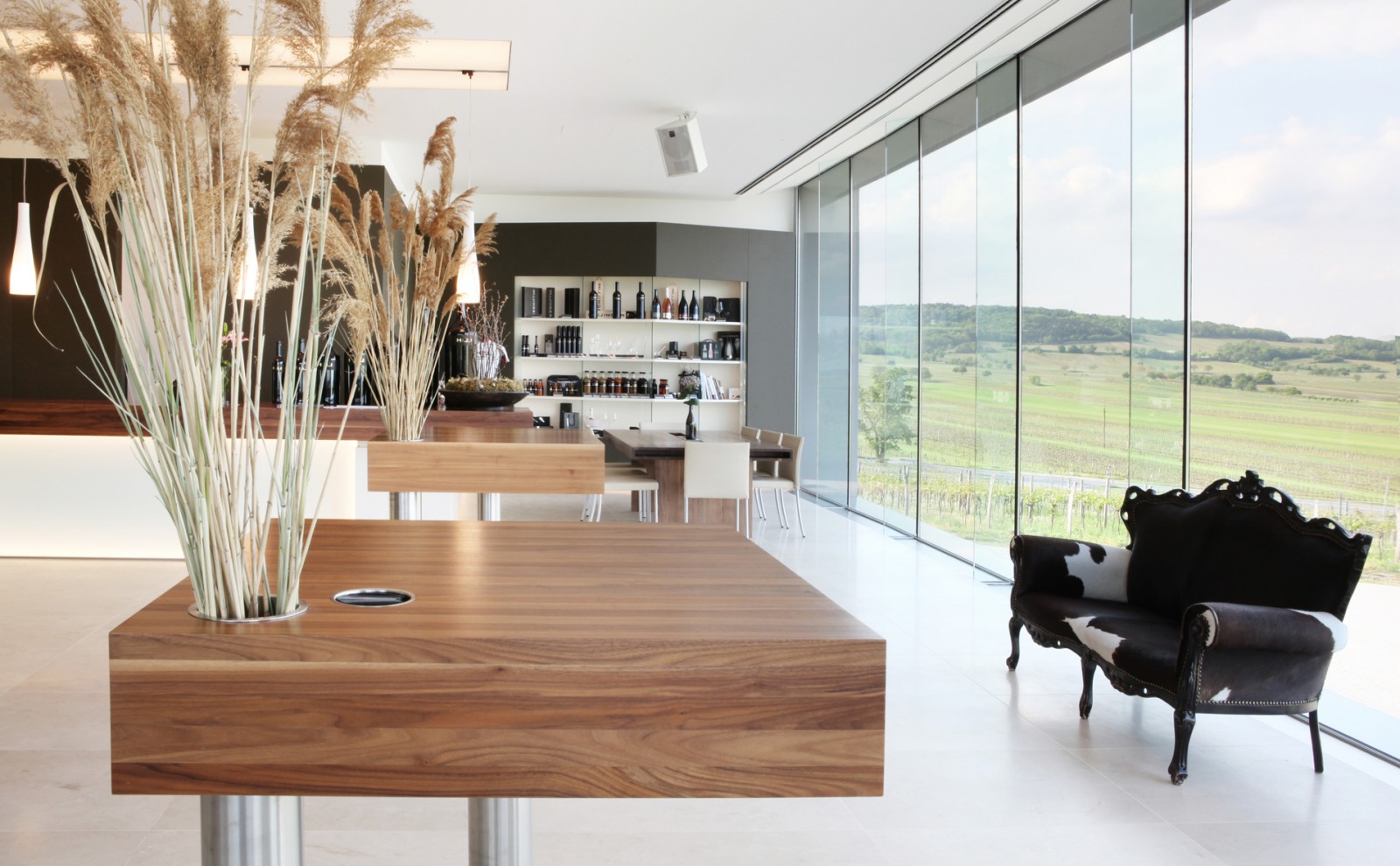 Leo Hillinger GmbH in Jois, Foto 2