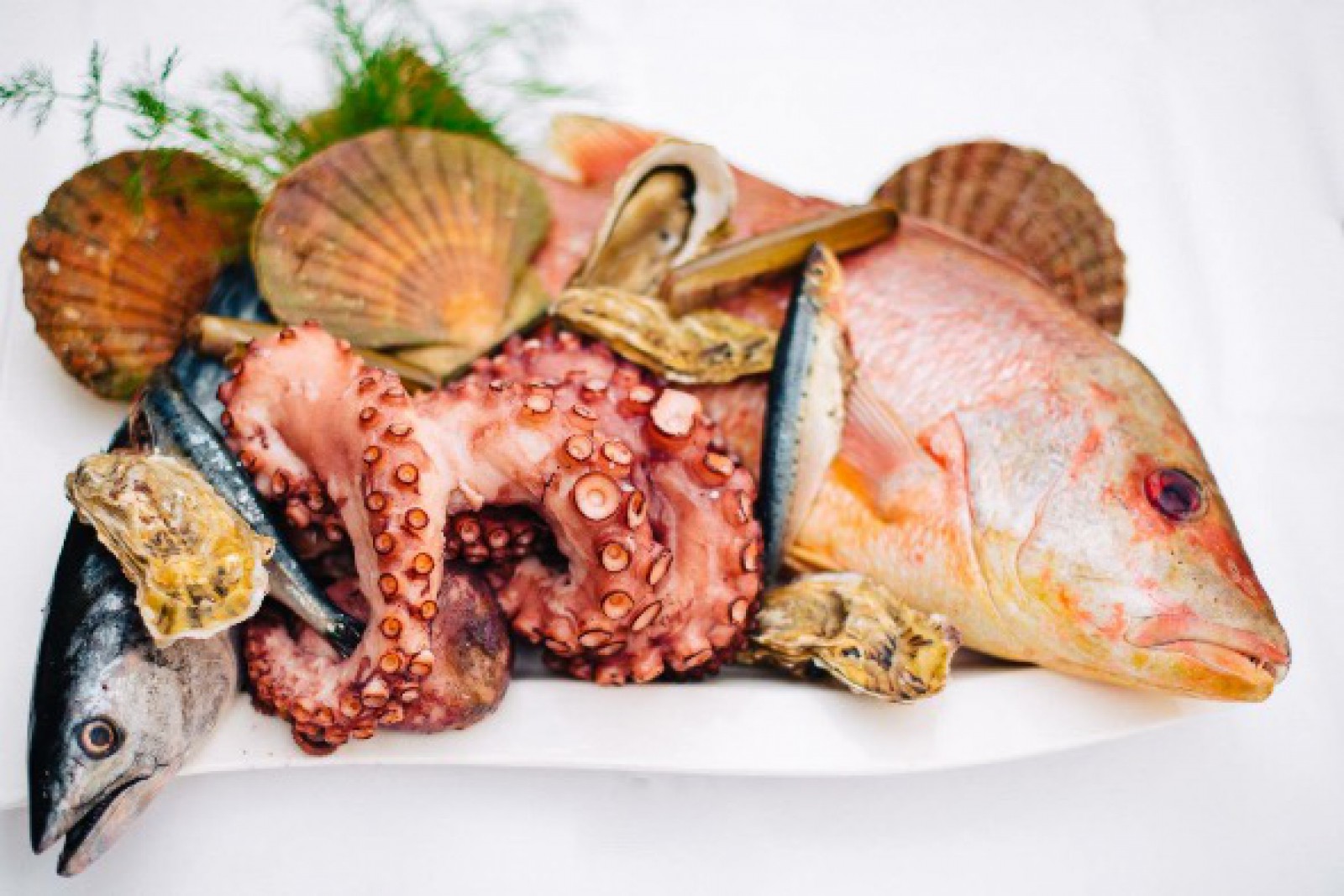 Sezai Fisch(T)raum Fisch & Meeresfrüchte Restaurant  in Wien , Foto 3