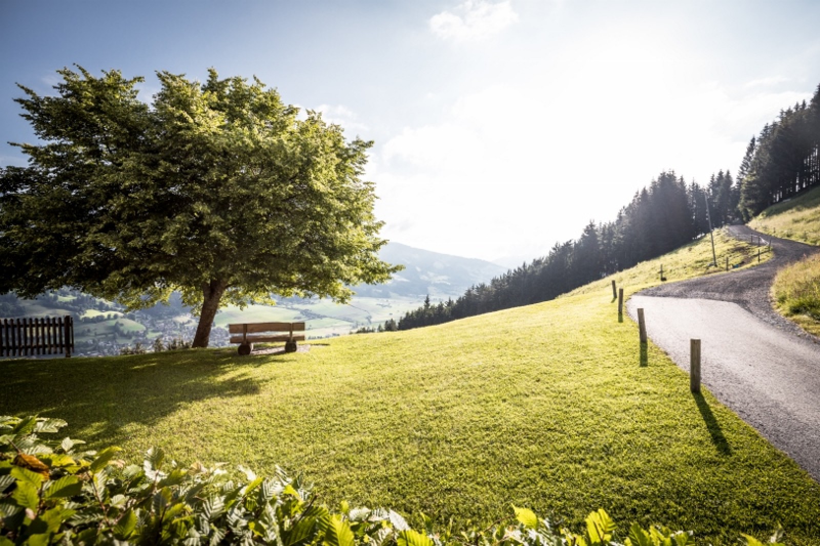 Bergasthaus KandlerAlm in Brixen im Thale, Foto 3