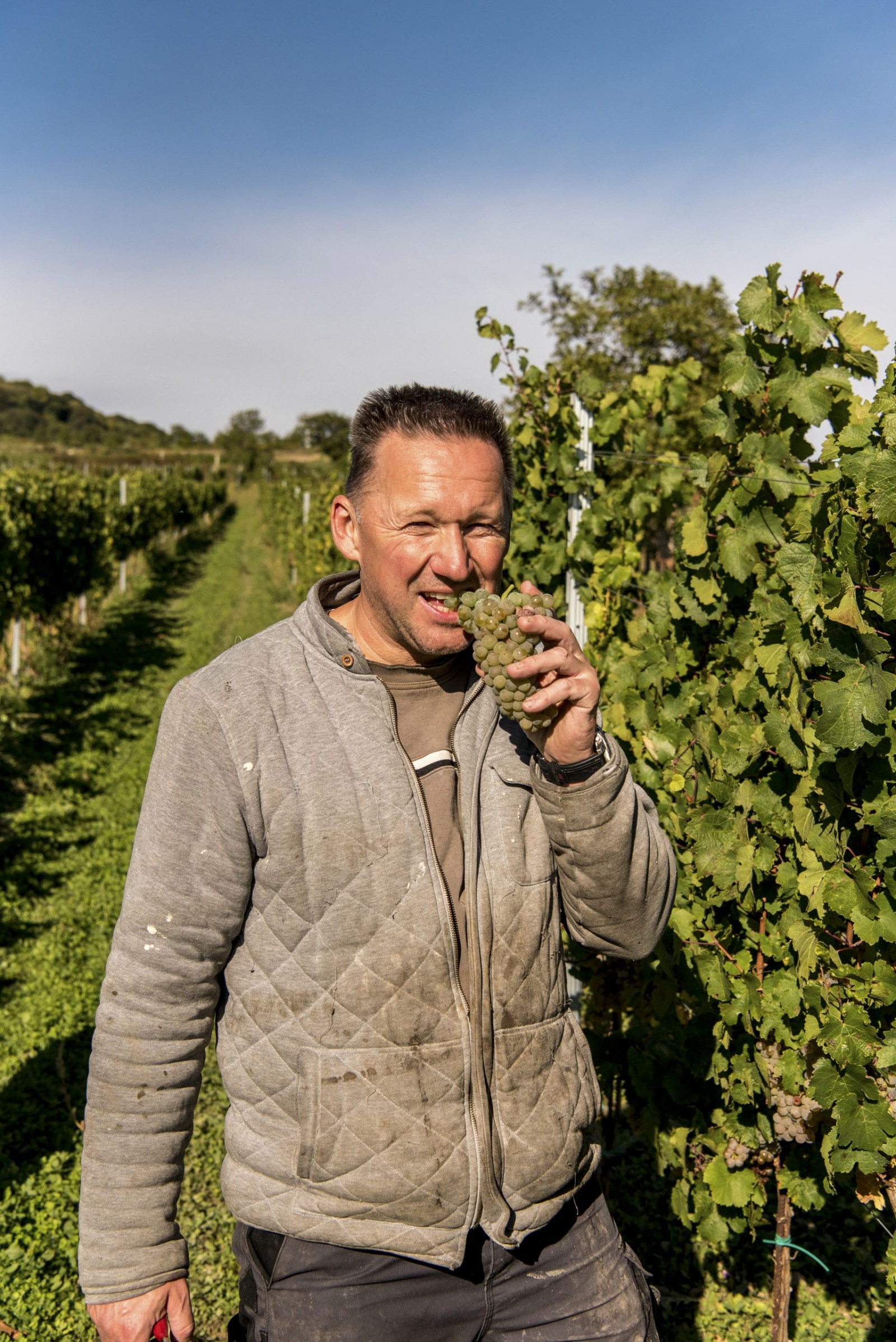 Heurigen Weinbau Manfred Haase in Guntramsdorf, Foto 16