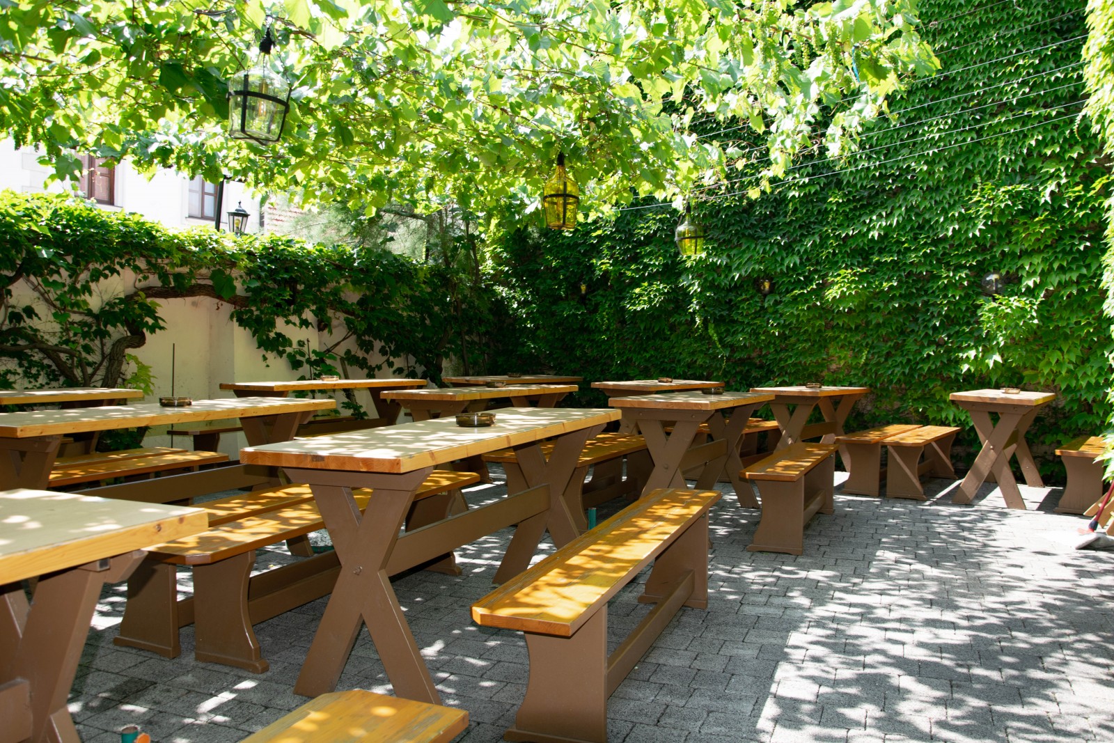 Heurigen Weinbau Manfred Haase in Guntramsdorf, Foto 4
