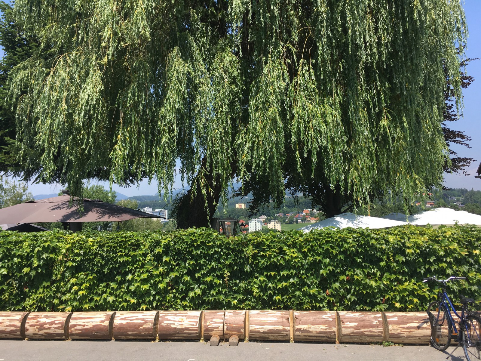  Landhaus Ruckerlberg | Yamamoto in Graz, Foto 57