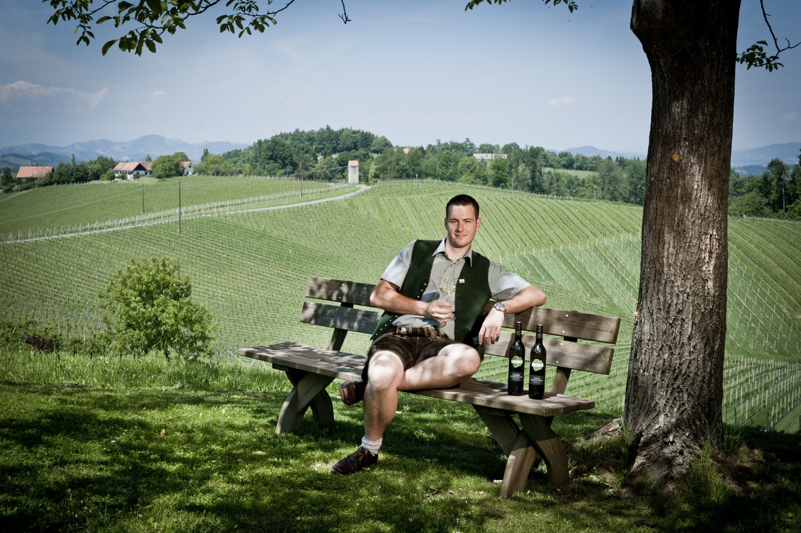 Weingut Pilch in Ratsch an der Weinstrasse, Foto 2