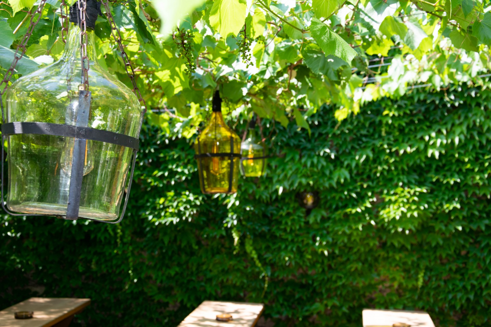 Heurigen Weinbau Manfred Haase in Guntramsdorf, Foto 3