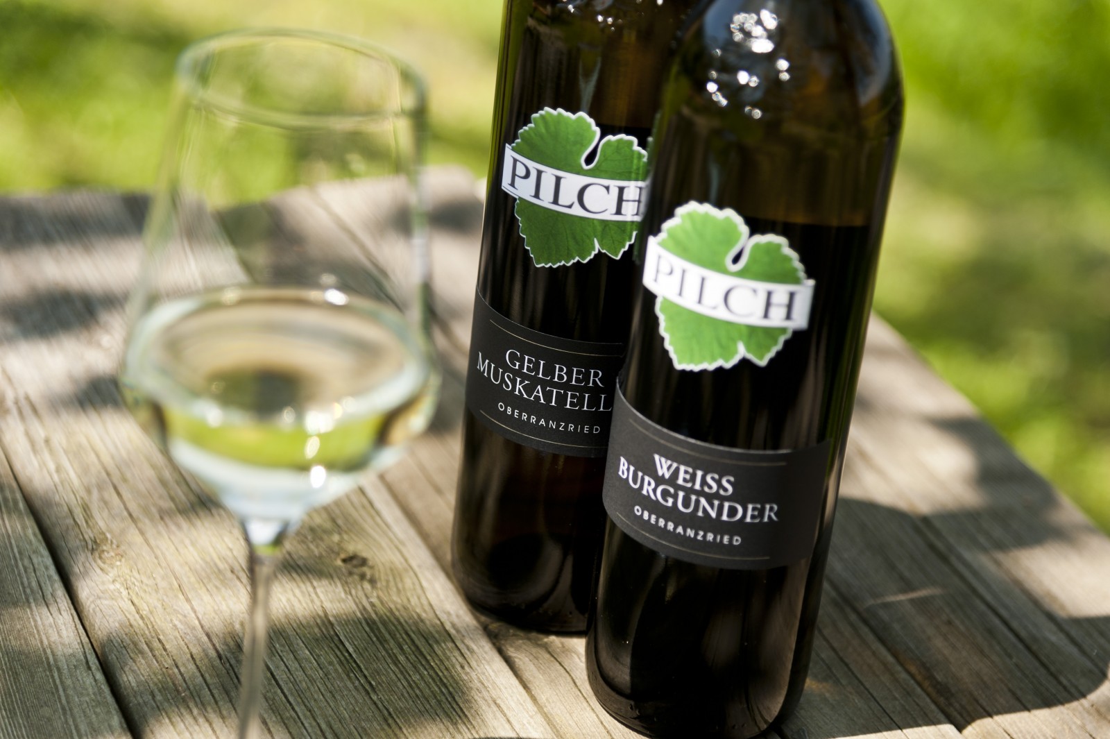 Weingut Pilch in Ratsch an der Weinstrasse, Foto 1