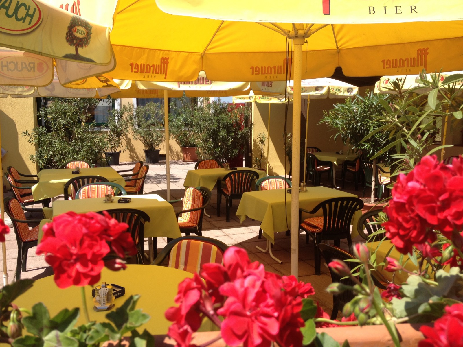 Restaurant Zur Alten Mauth in Neusiedl am See, Foto 2