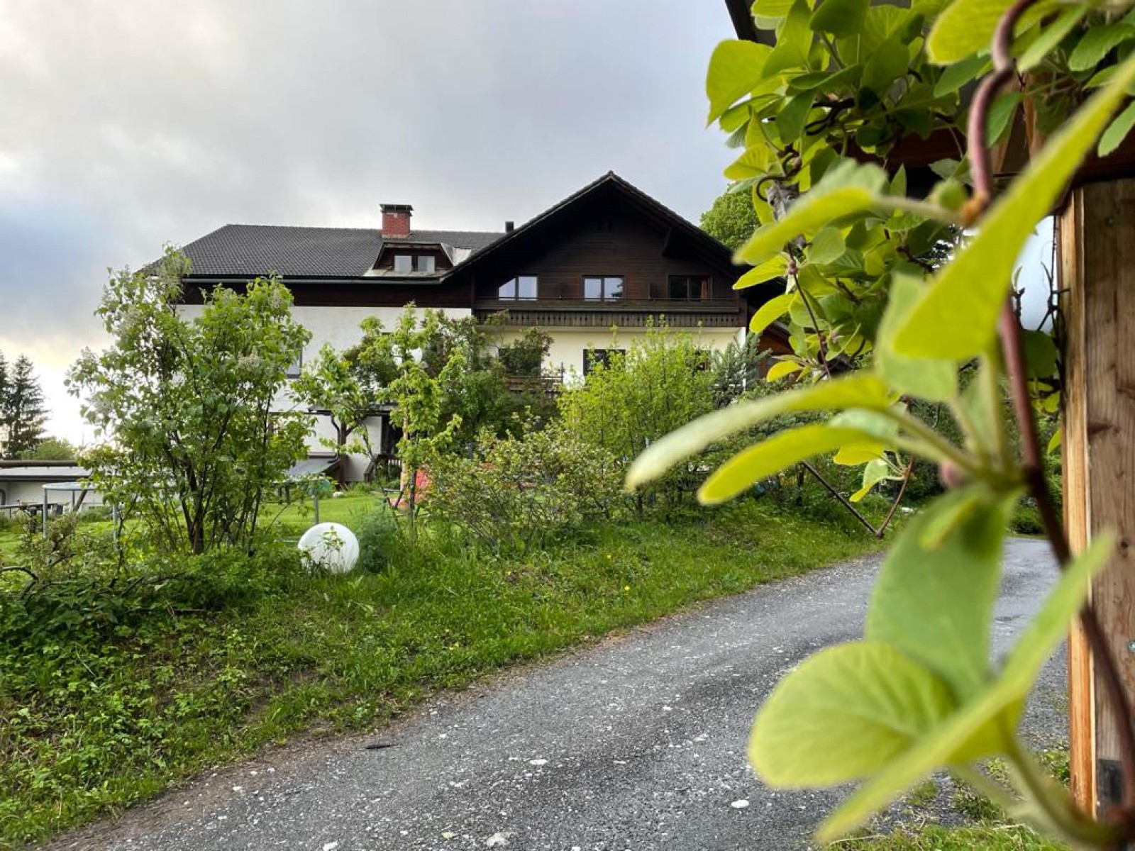 Wirtshaus Zum Gustl in St. Stefan im Gailtal, Foto 19